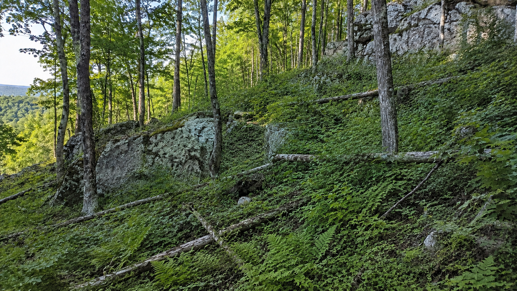 Hillside Switchback Trail in Windham, ME — overgrown property before clearing