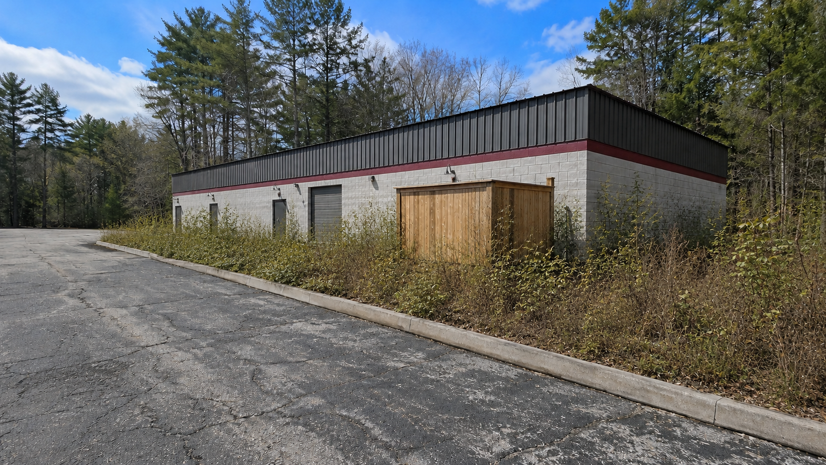 Commercial Fire Safety Clearing in Saco, ME — overgrown property before clearing